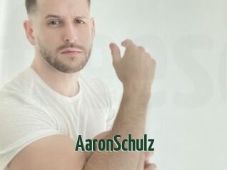 AaronSchulz