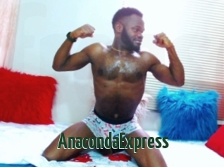 AnacondaExpress