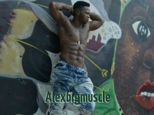 Alexbigmuscle