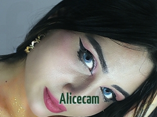 Alicecam