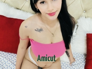 Amicut