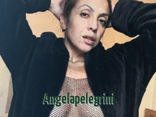 Angelapelegrini