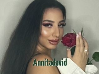 Annitadavid