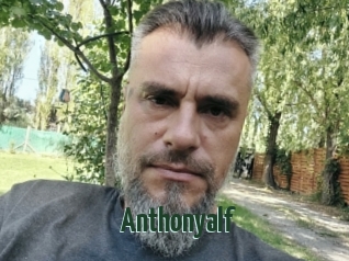 Anthonyalf