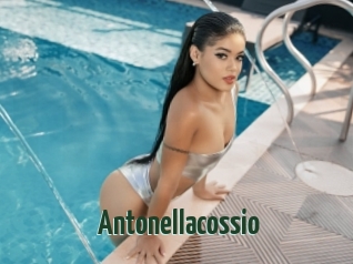 Antonellacossio