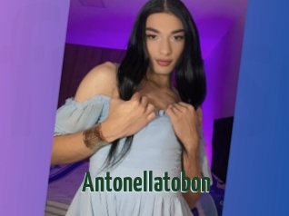 Antonellatobon