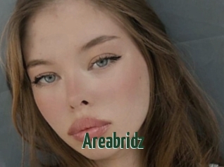 Areabridz