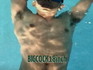 BIGCOCK18inch