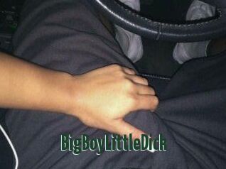 BigBoyLittleDick