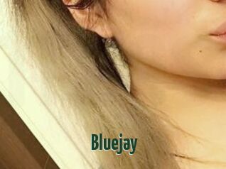 Blue_jay