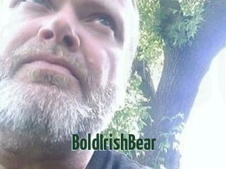 BoldIrishBear