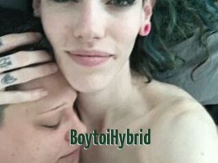 BoytoiHybrid