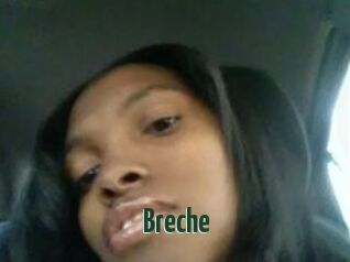 Breche