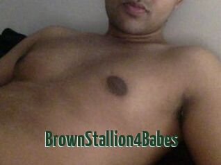 BrownStallion4Babes