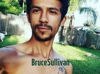 Bruce_Sullivan