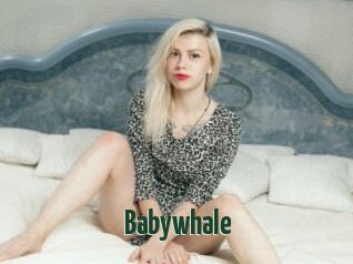 Babywhale