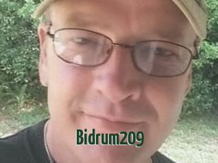 Bidrum209