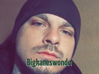 Bigkaneswonder