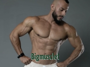 Bigmusclet