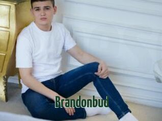 Brandonbud