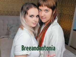 Breeandantonia