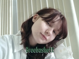 Breebaskett