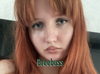 Breebuss