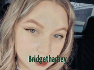 Bridgetharkey