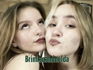 Brimlanandnelda