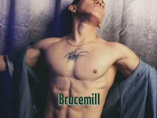 Brucemill