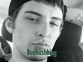 Budkushking