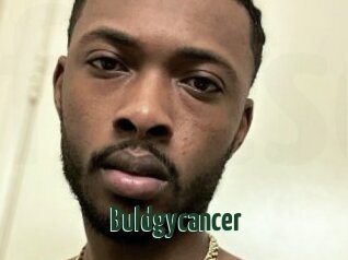 Buldgycancer