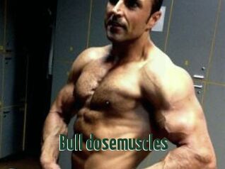 Bull_dosemuscles