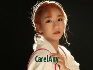 CarelAny