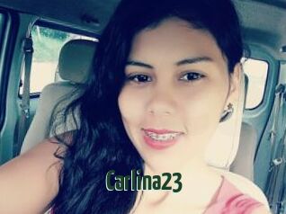 Carlina23