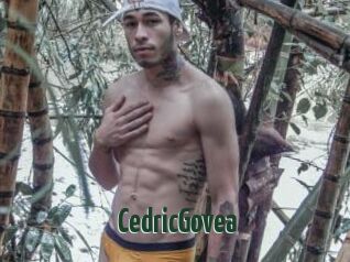 CedricGovea