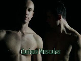 Curious_Muscules