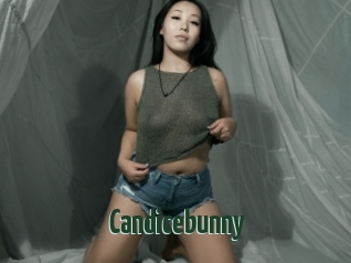 Candicebunny