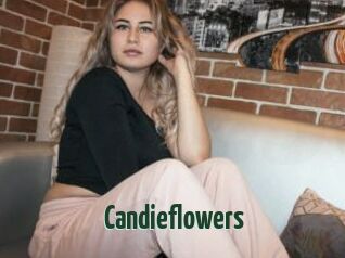 Candieflowers