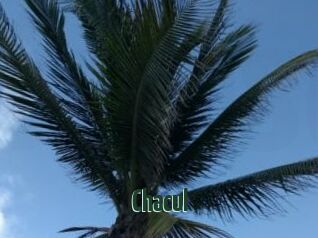 Chacul