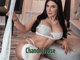 Chandrelrose