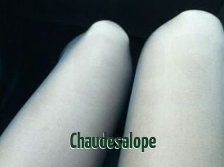 Chaudesalope