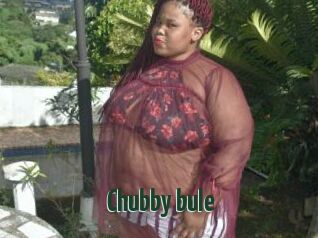 Chubby_bule