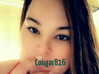 Cougar816