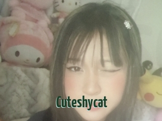 Cuteshycat