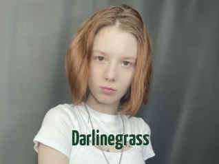 Darlinegrass