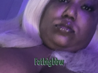 Fatbigbbw