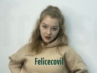 Felicecovil