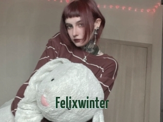 Felixwinter