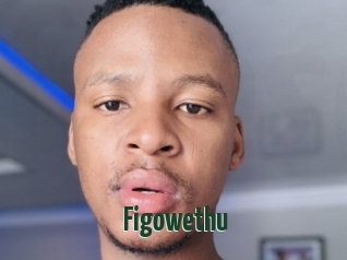 Figowethu